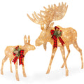 2-Piece Moose Family Lighted Outdoor Christmas Decoration Set with LED Lights for indoor and outdoor holiday displays