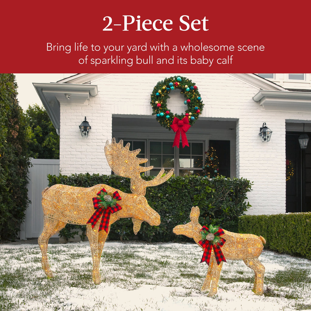 2-Piece Moose Family Lighted Outdoor Christmas Decoration Set with LED Lights for indoor and outdoor holiday displays