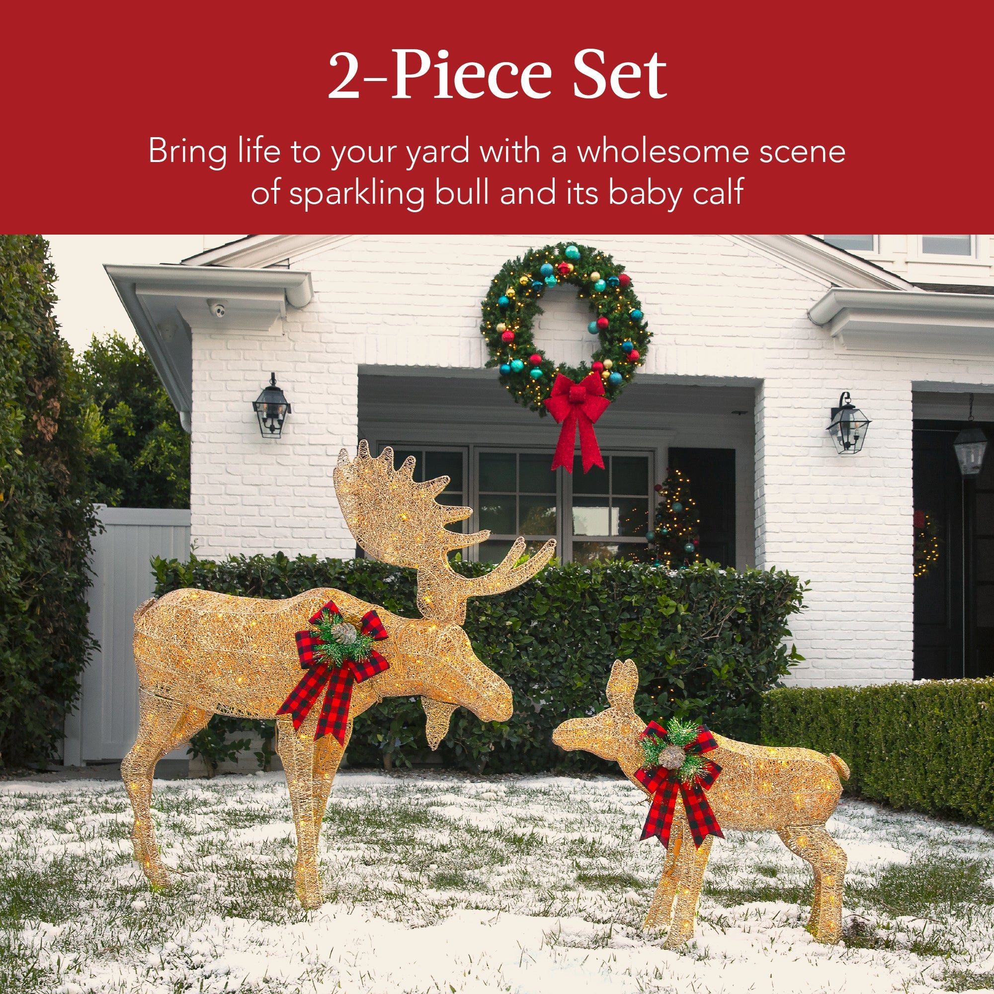 2-Piece Moose Family Lighted Outdoor Christmas Decoration Set with LED Lights for indoor and outdoor holiday displays